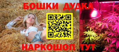 бошки Малгобек