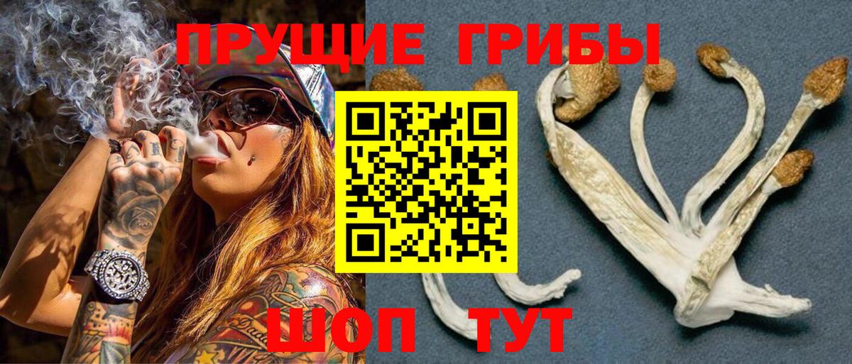 Черногорск  Галлюциногенные грибы MAGIC MUSHROOMS  Вход с VPN 