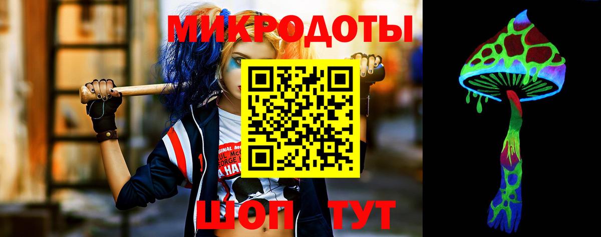 Галлюциногенные грибы Psilocybe Черногорск